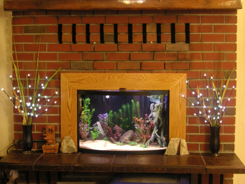 Fireplace fish tank