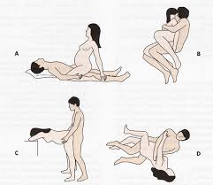 Foreplay sex position