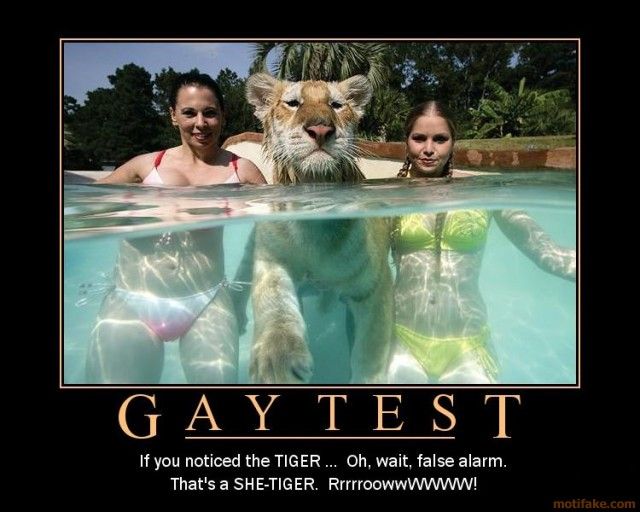 Sexy gay tests for women