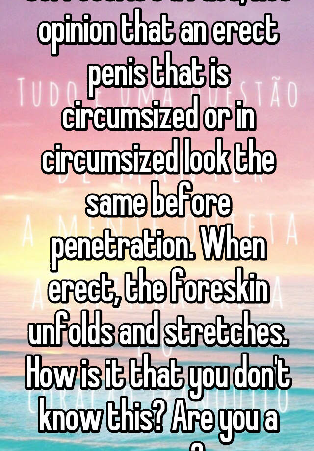 Erect uncircumcised penis
