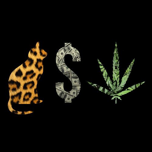 Weed marijuana sexy pussy