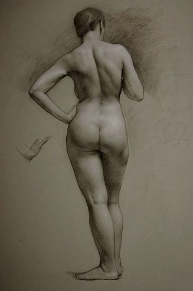Nude female figure reference