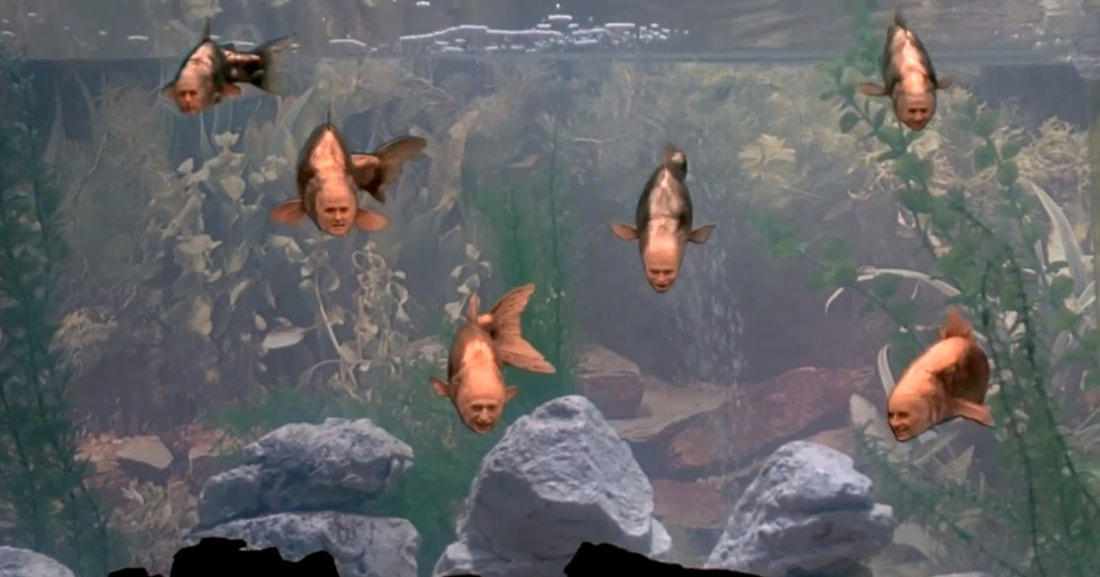 Meaning of life monty python fish