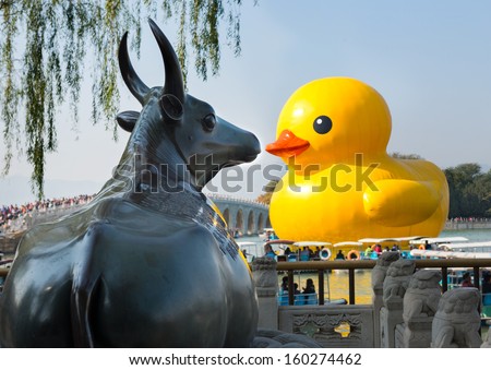 Rubber duck in my pussy